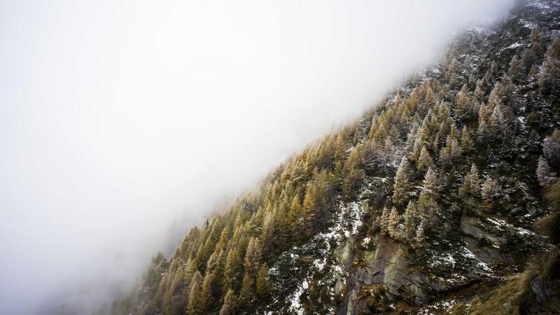 AV人人免费爽蜜芽TV：探索数字娱乐新趋势，畅享高清视听盛宴的实用指南
