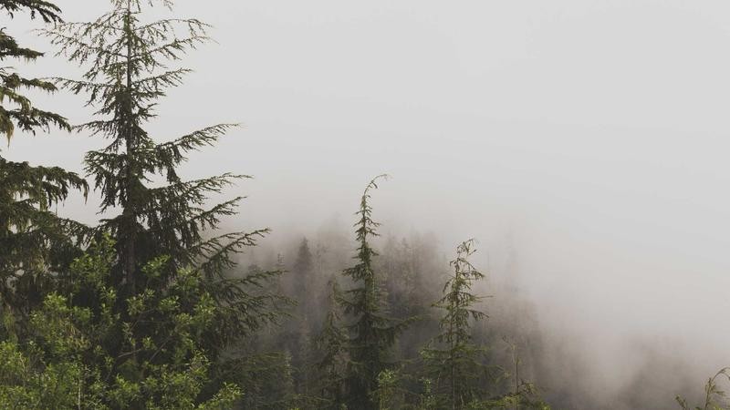 麻豆一区二区三区蜜桃免费高清无码在线观看指南，解锁精彩内容独家福利