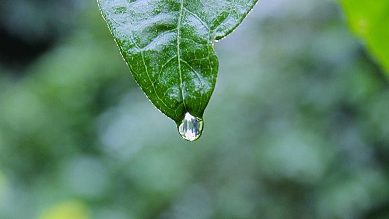 亚洲日韩Av在线首页亚洲日韩影视在线平台，高清正版海量资源，随时随地畅享视听盛宴
