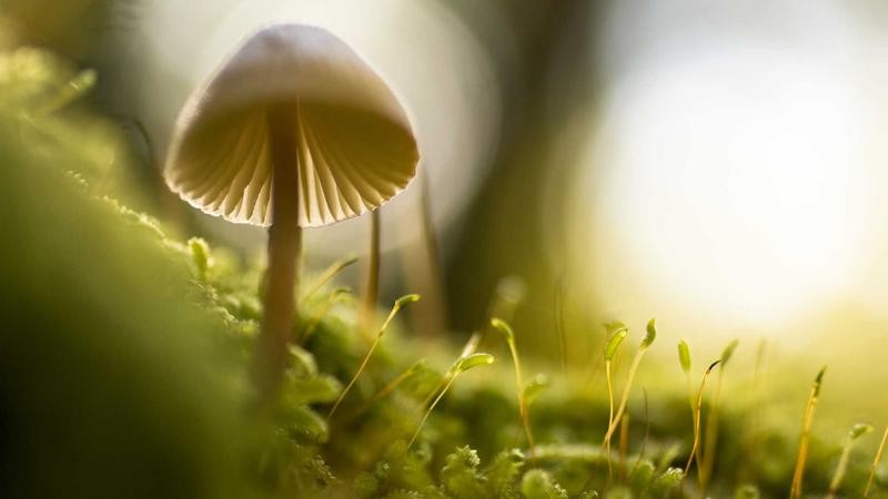 国产精品自在线拍国产不卡：探索高清流畅的视听盛宴与创作新趋势