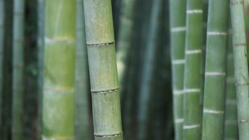 内射人妻视频国内精彩内容分享，探索家庭情感故事，立即观看完整版